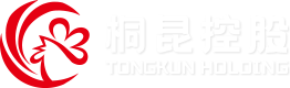 凯发一触即发集团股份有限公司