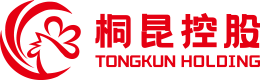 凯发一触即发集团股份有限公司